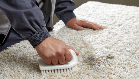 Professional Rug Cleaning Ballan